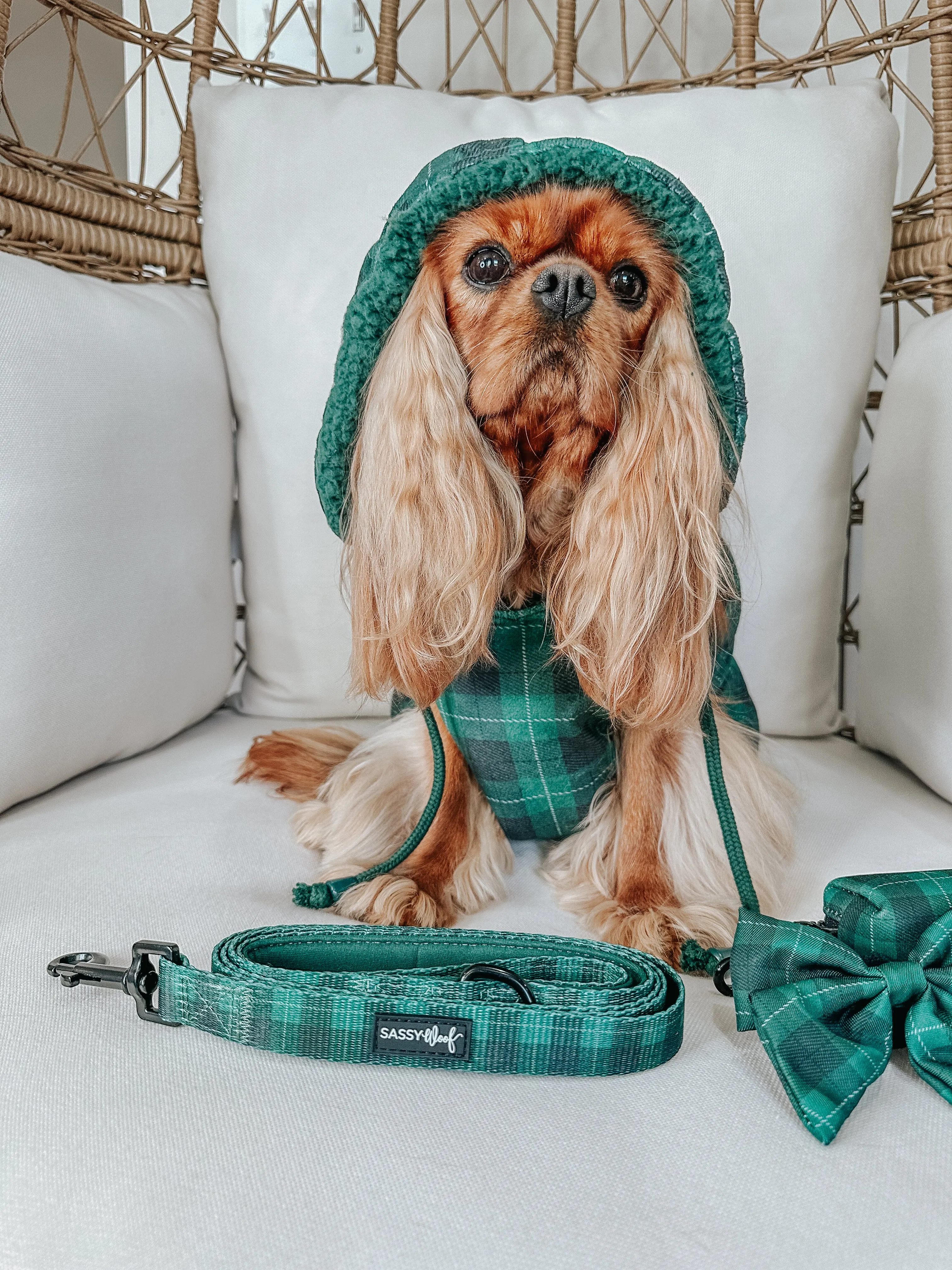 Dog Reversible Sherpa Jacket - Barks of Holly